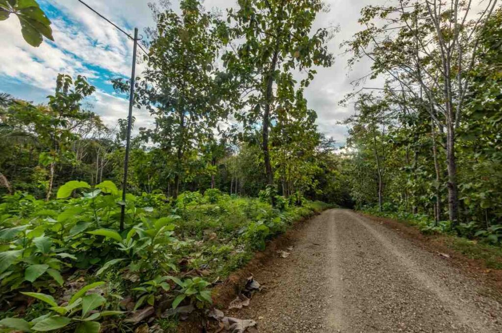 Finca-Prospera-27