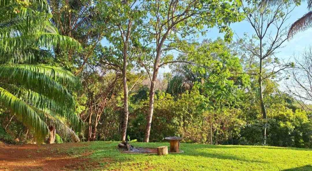 Finca-Prospera-New-pics-5