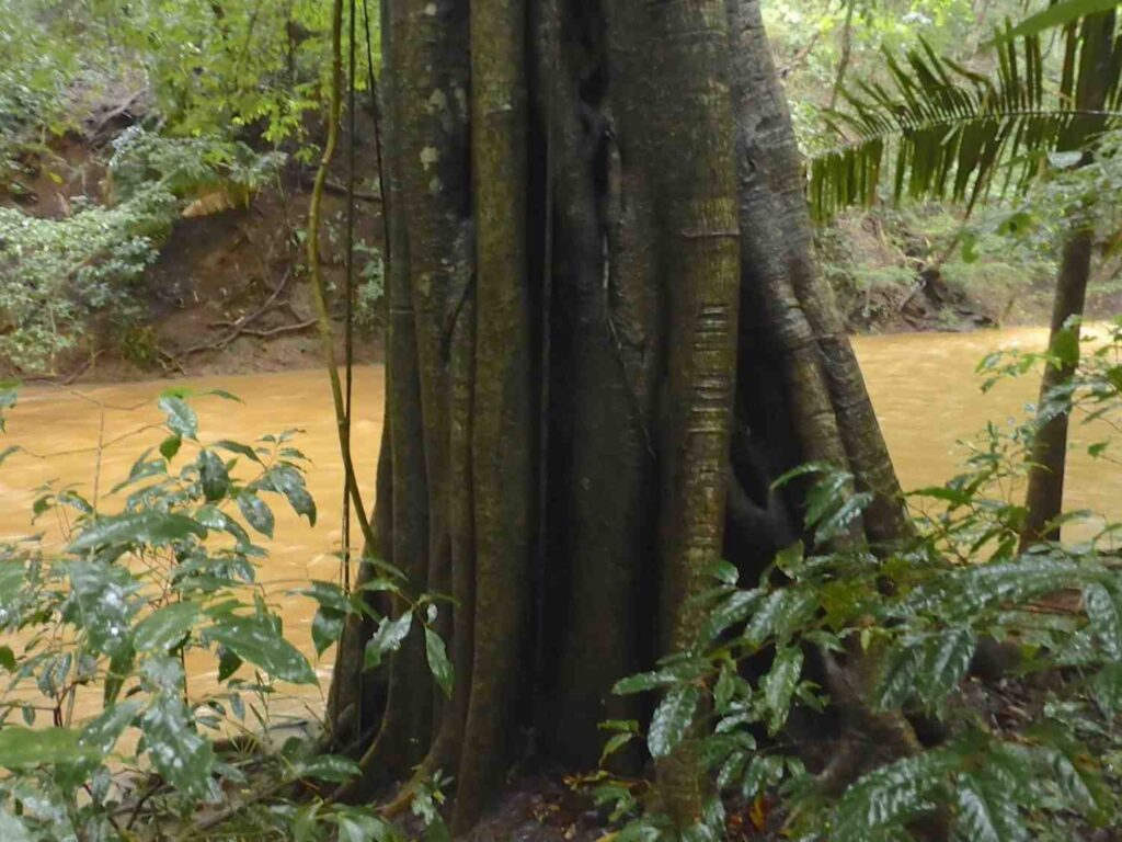 P1040546