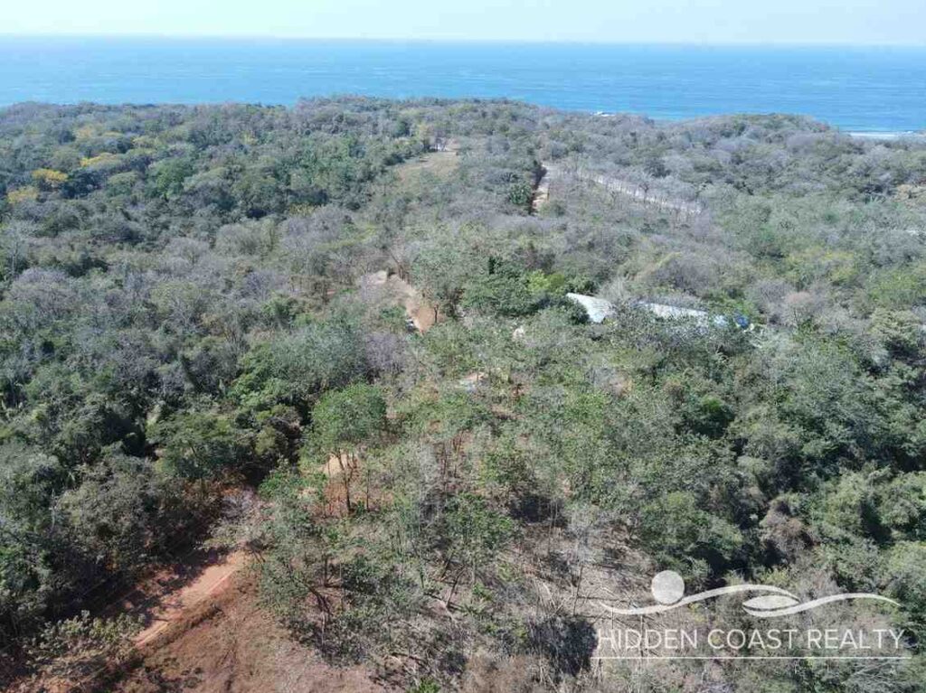 Overhead aerial view of dense tropical foliage and dirt roads overlooking the coast.