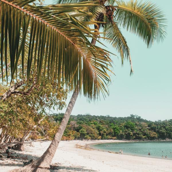 Best Places To Stay In Costa Rica | 2026 Investor Guide