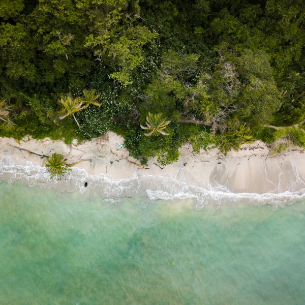 Costa Rica Weather By Month | 2026 Insider Guide