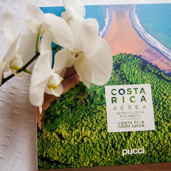 Costa Rican Food | 2026 Insider Guide