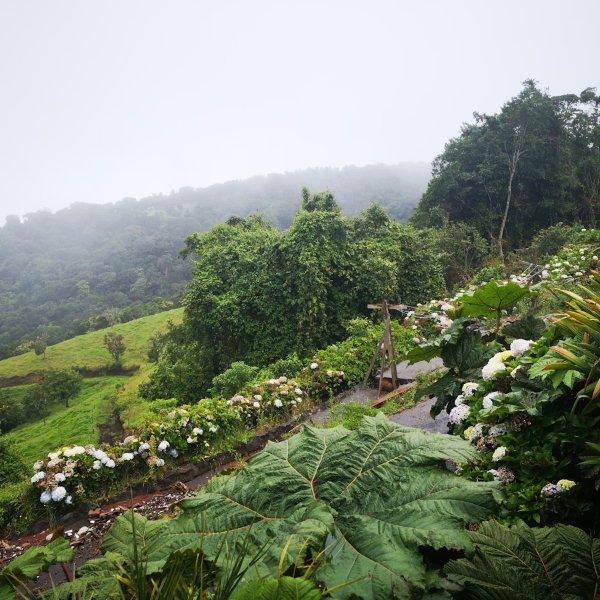escazu costa rica real estate