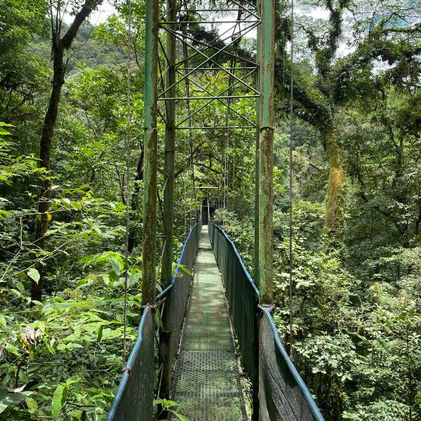 Why Guanacaste Province Is More Than a Vacation – It’s Your Next Smart Investment
