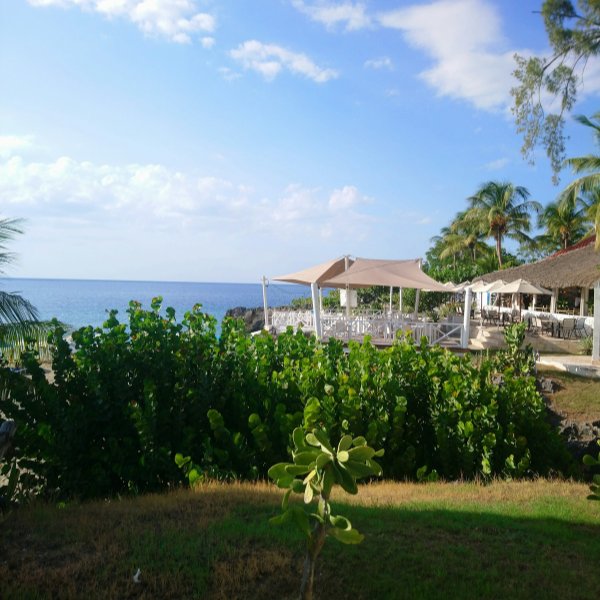 What No One Tells You About Buying Luxury Real Estate in Costa Rica (Until It’s Too Late)