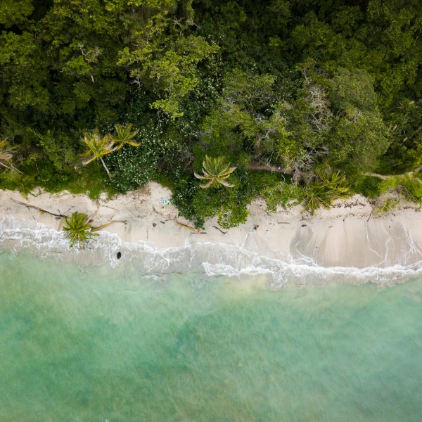 Beyond the Listing: What Nosara Costa Rica Real Estate Actually Costs — and Returns — for Foreign Buyers