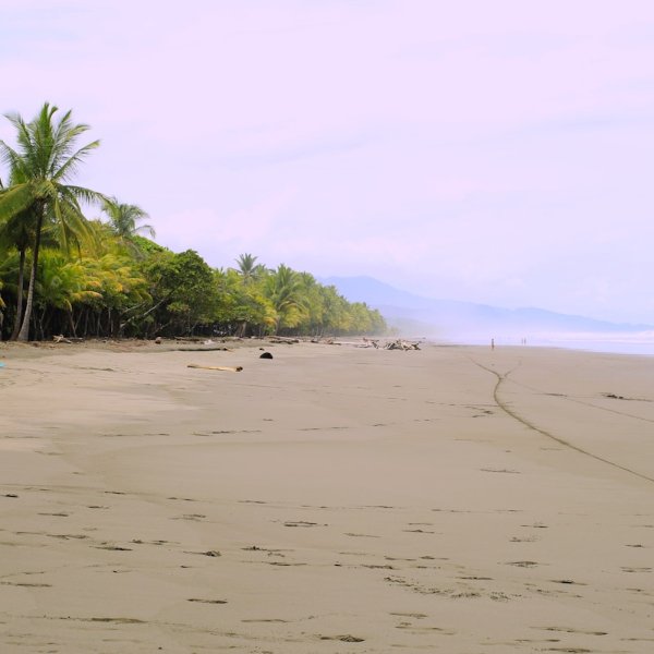 Beyond the Surf: Why Investors Are Flocking to Playa Avellanas, Costa Rica