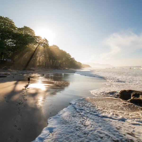 Why Playa Flamingo Is the Smartest Place to Buy Real Estate on Costa Rica’s Gold Coast in 2026