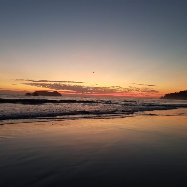 Playa Hermosa Costa Rica: What the Beach Town Guides Leave Out