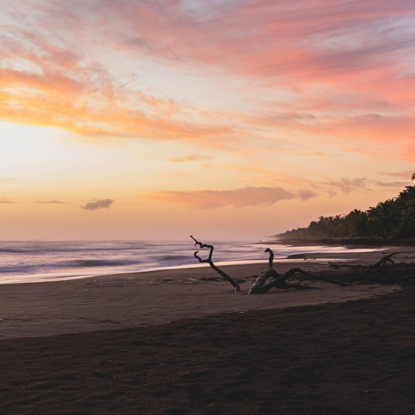 Pura Vida Meaning | 2026 Insider Guide