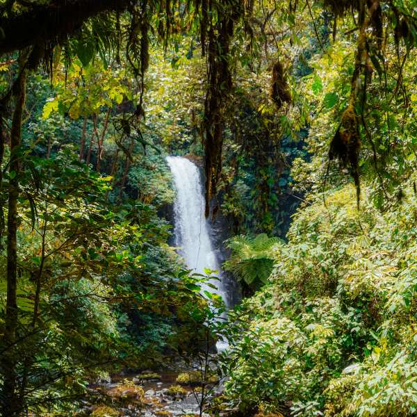 cartago costa rica real estate
