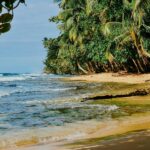 tamarindo commercial real estate