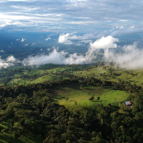 Central Valley Costa Rica Real Estate: Why Expats Love It