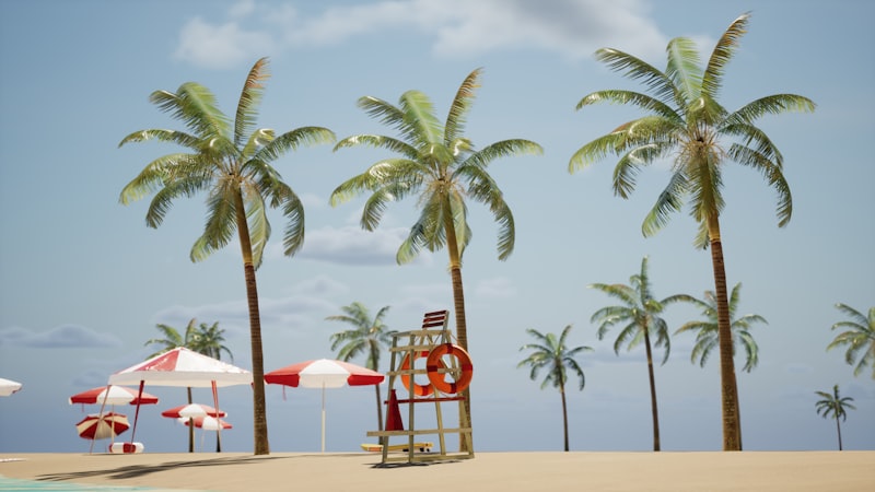 Tropical beach palm trees