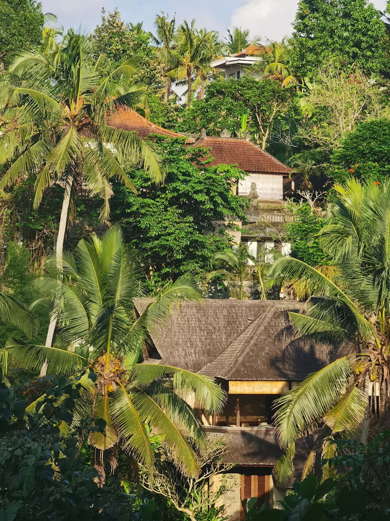 Emerald hillside ocean view