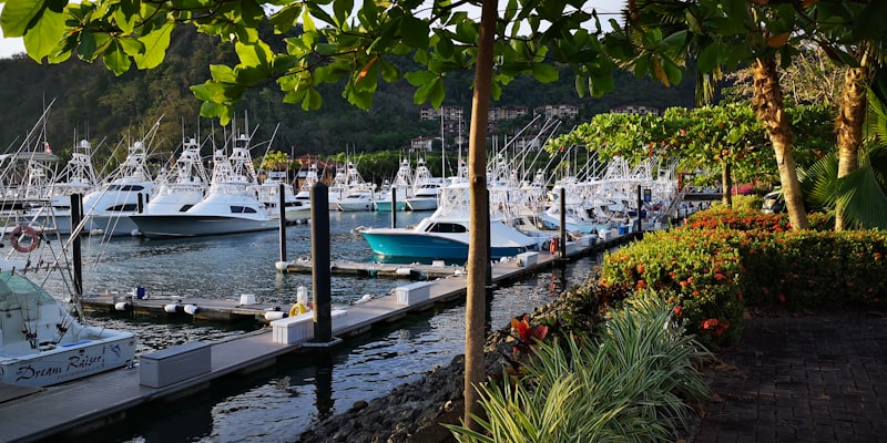 Boat on tropical dock