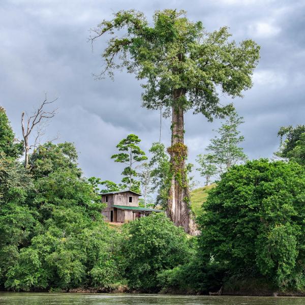 where to buy in costa rica